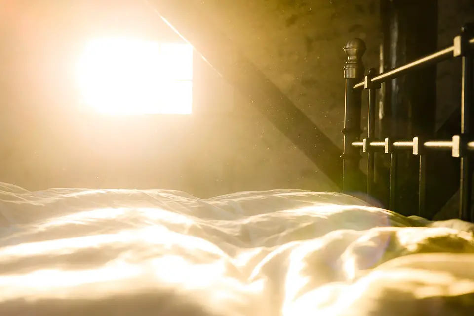 24 Easy Ways to Get Rid of Dust Mites and Get Allergy Relief Homelization