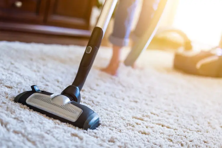 A Beginner's Guide to the Different Types of Vacuum Cleaners