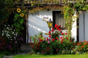 Uses of Vinegar in the Garden