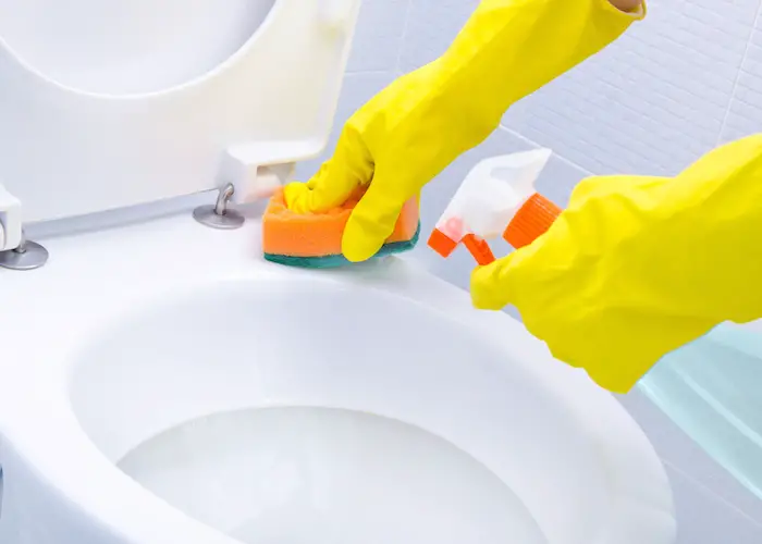 how-to-clean-toilet-bowl-ring