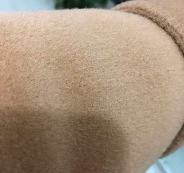 11 Ways To Remove Pet Hair From Wool Coat