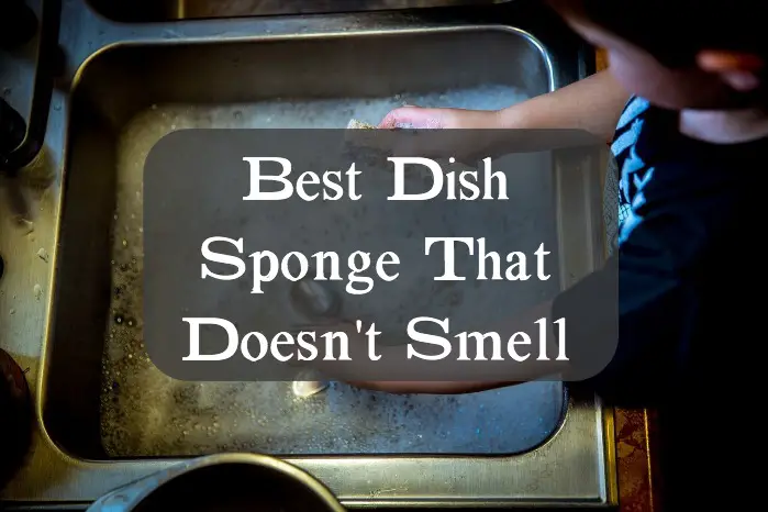 Best Dish Sponge That Doesn't Smell