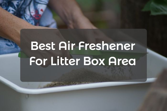 air freshener for litter box area