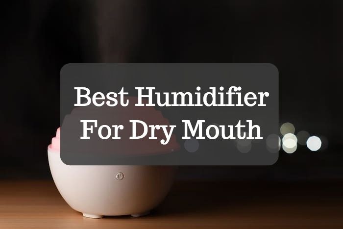 Best Humidifier For Dry Mouth