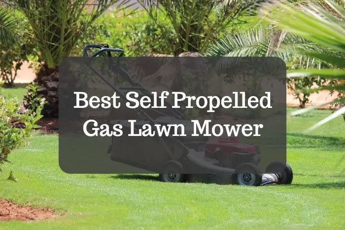 Best Self Propelled Gas Lawn Mower