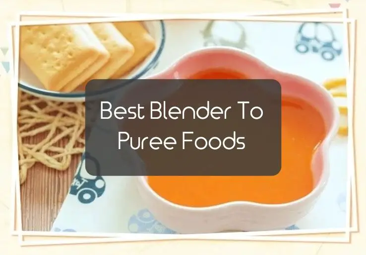 Best Blender To Puree Foods