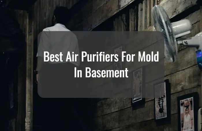 Best Air Purifiers For Mold In Basement