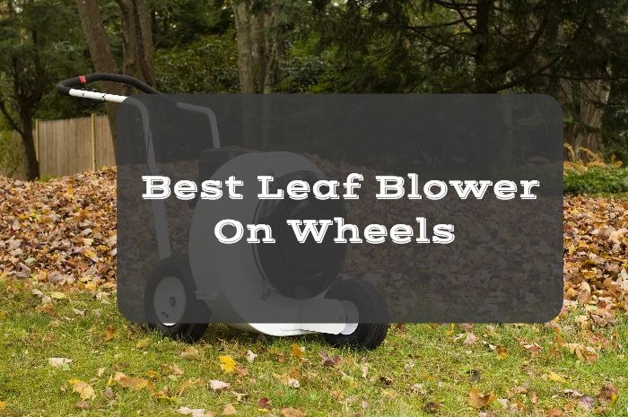 Best Leaf Blower On Wheels