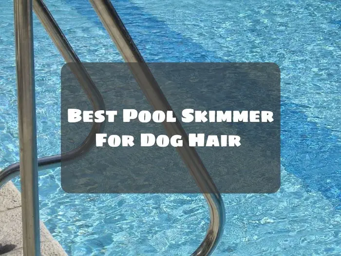 Pool Skimmer For pet Hair