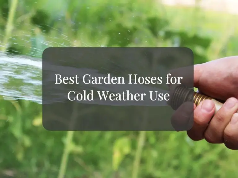 4 Best Garden Hoses for Cold Weather Use for 2022 Homelization