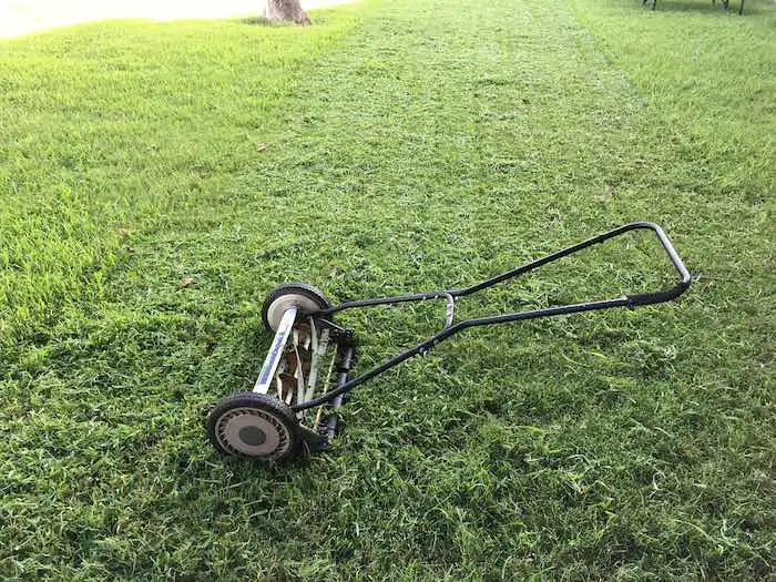 Best Mower For Zoysia Grass