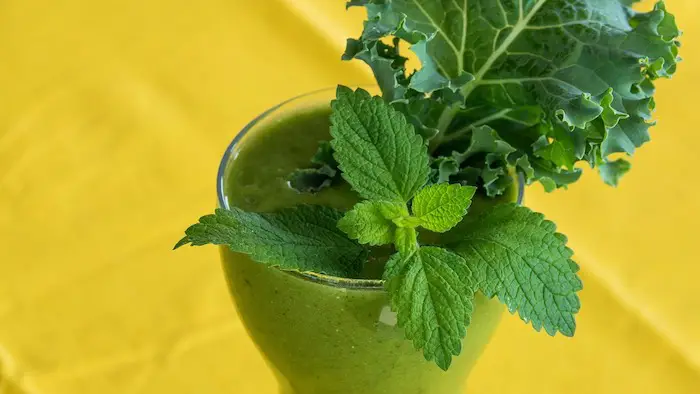 Best Blenders for Kale