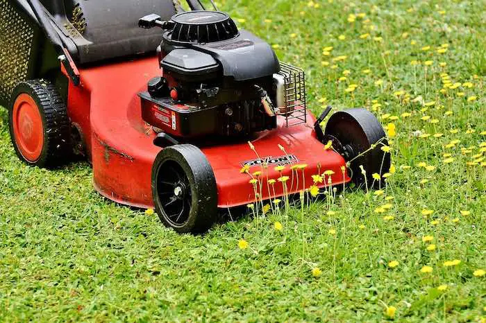 Best Lawn Mowers For Different Uses