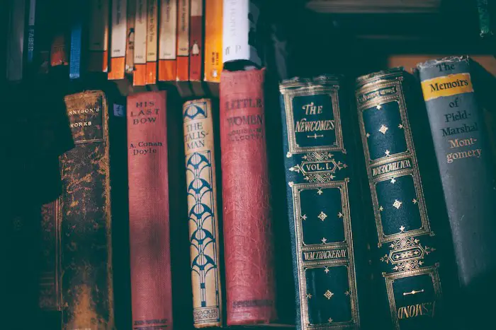 How to Clean Your Bookshelves without Removing Books