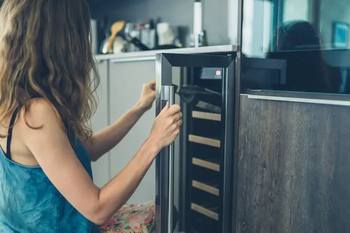 Best Wine Coolers For Different Uses