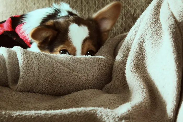 Can We Wash Blanket in 6kg Washing Machine?