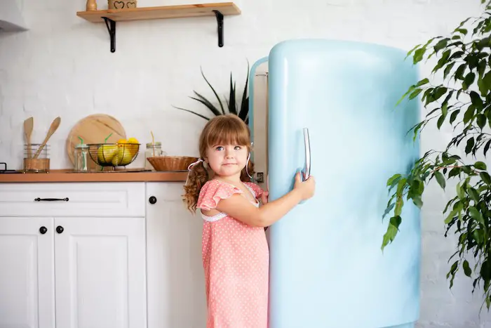 Best Small Refrigerator With Bottom Freezer