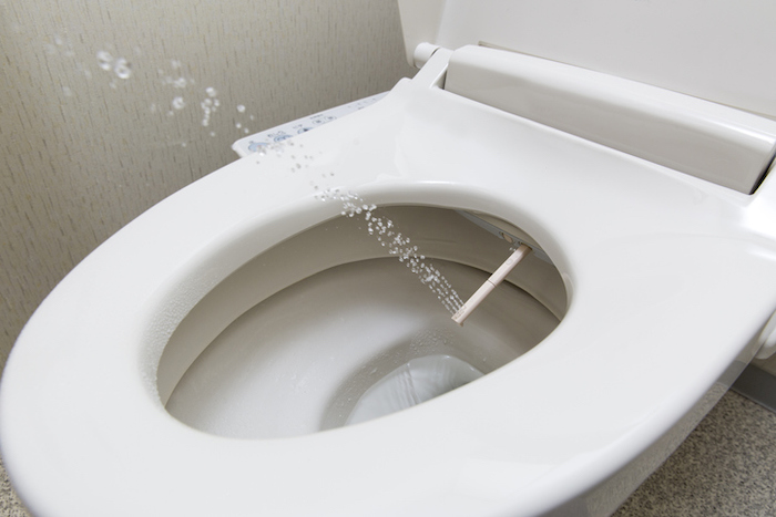 How Much Is A Bidet Toilet Seat?