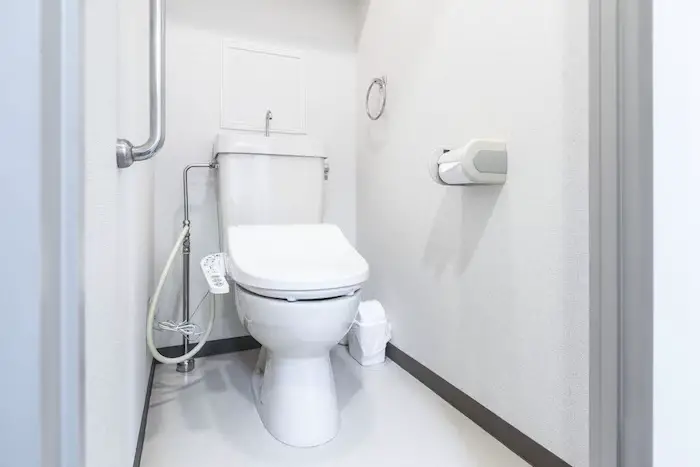 Does Poop Really Get Everywhere?: Banishing Bidet Myths