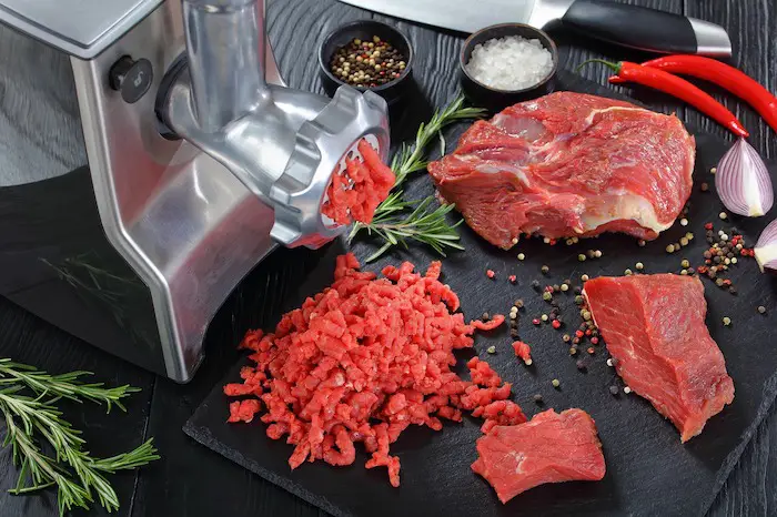 Best Meat Grinders for Raw Dog Food