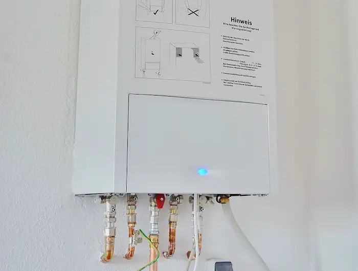 best tankless water heater for large family